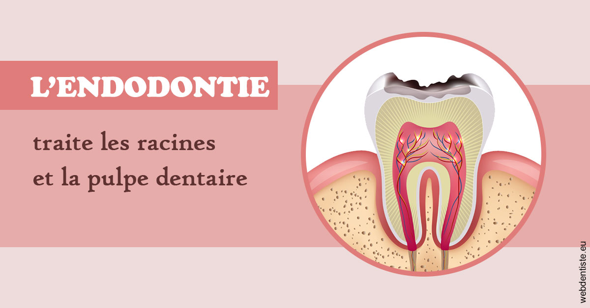 https://selarl-marche-soligni.chirurgiens-dentistes.fr/L'endodontie 2